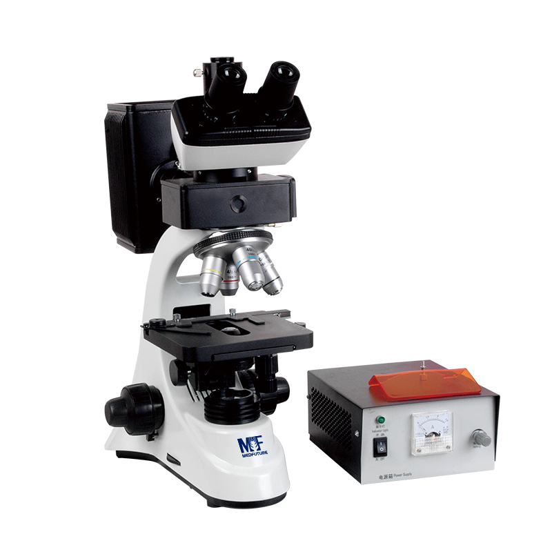 Fluorescence Biological Microscope