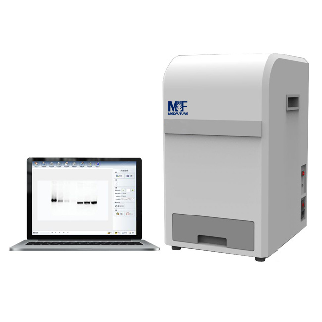 Chemiluminescence Imaging System